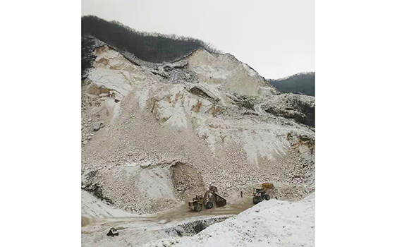 熱烈慶祝鞍山東盛源礦業(yè)有限公司網(wǎng)站正式成立！